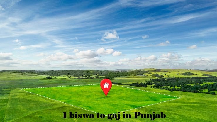 1 biswa to gaj in Punjab