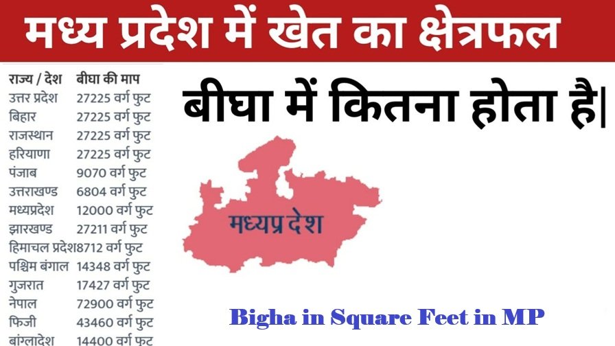 1 Bigha in Square Feet in MP