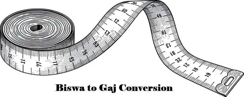 Biswa to Gaj Conversion